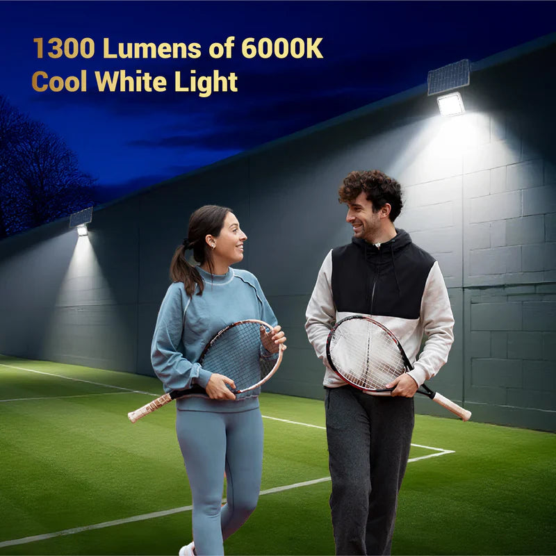 Dylect Luxe 150W Solar Flood Light
