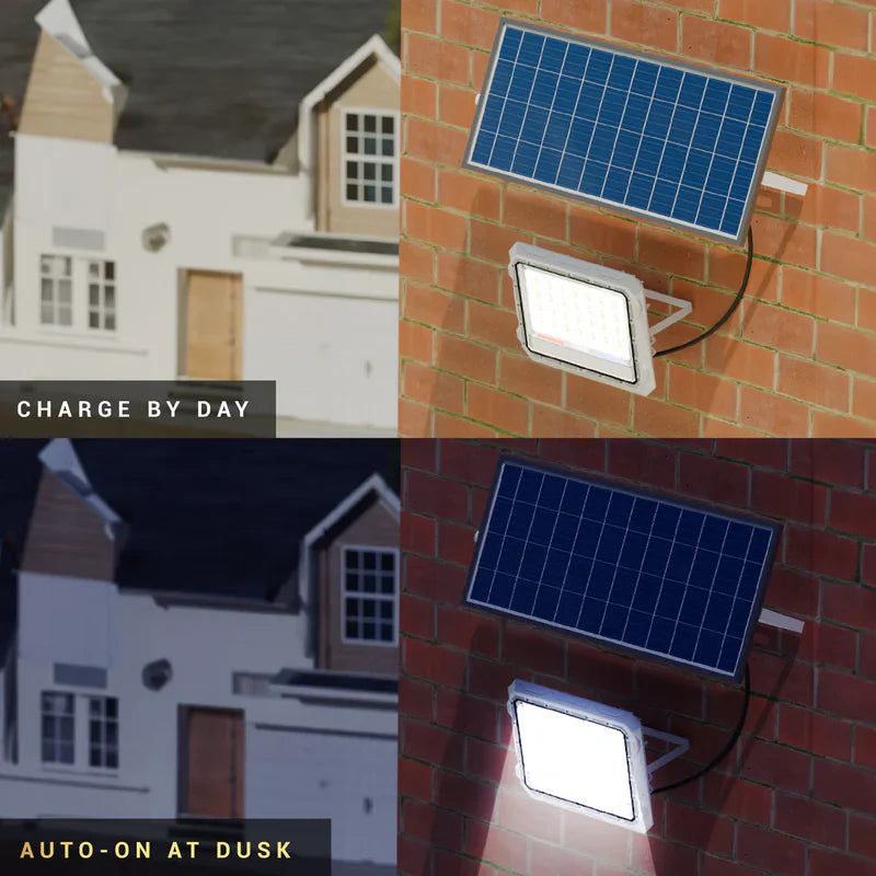 Dylect Luxe 60W Solar Flood Light