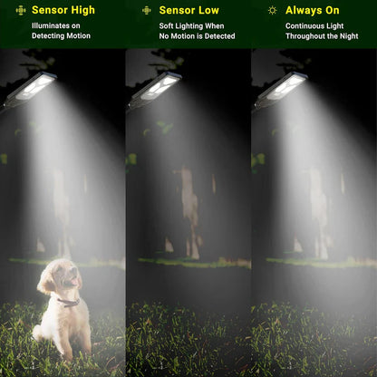 DYLECT 900W Solar Street Light with Motion Sensor