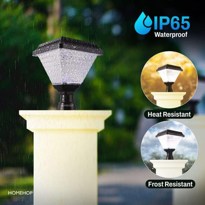 Homehop Solar Light Outdoor Home 10W LED Main Gate Light Waterproof Decoration Lamp for Pillar, Compound Wall and Garden (ABS, RGB)